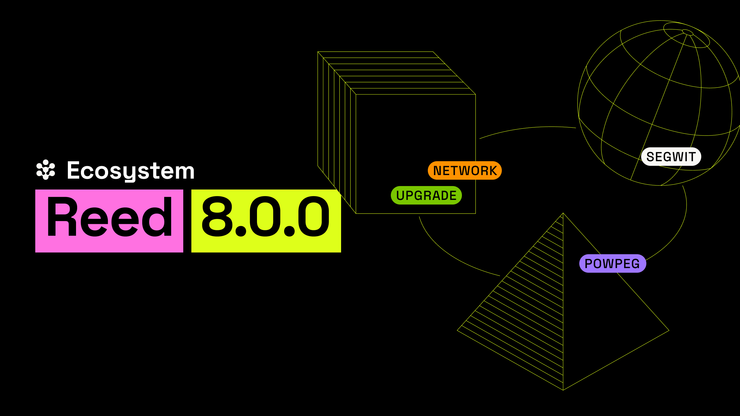 Introducing Reed 8.0.0: What You Need To Know About Rootstock’s Upcoming Network Upgrade