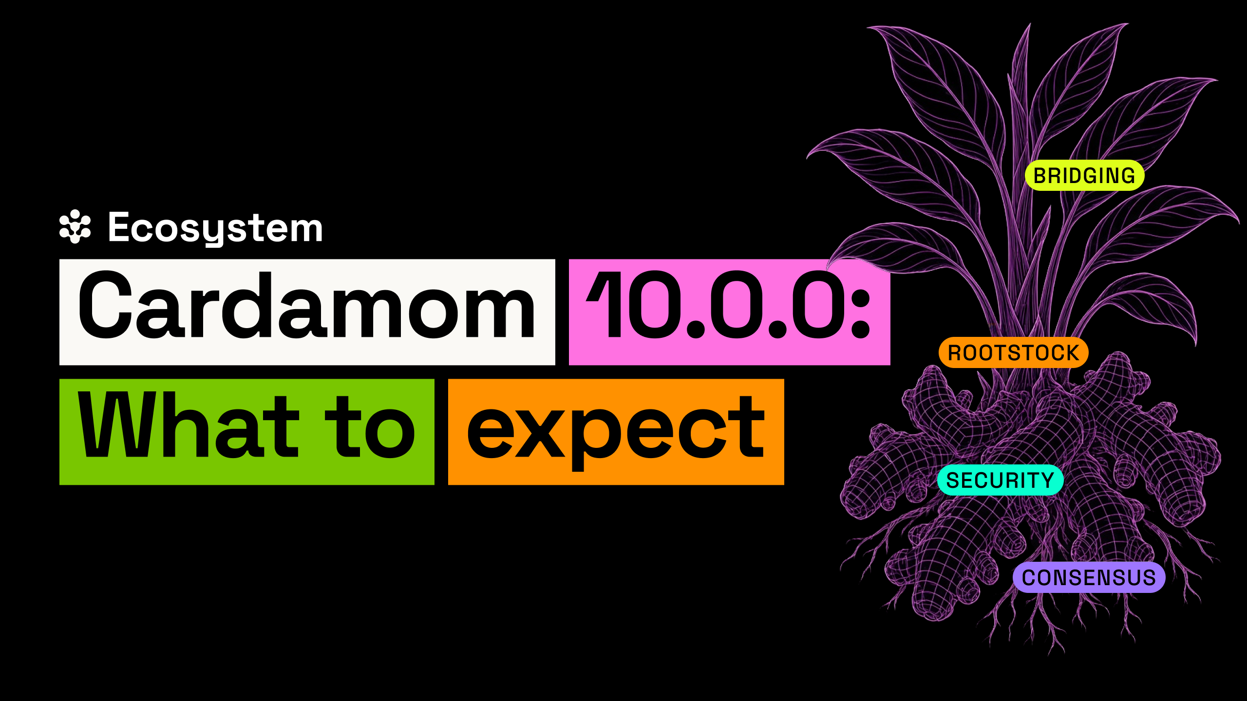 Cardamom 10.0.0: What to Expect